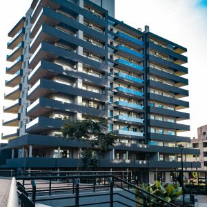 pexels gaston toconas 939243468 33146175